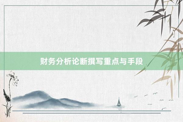 财务分析论断撰写重点与手段